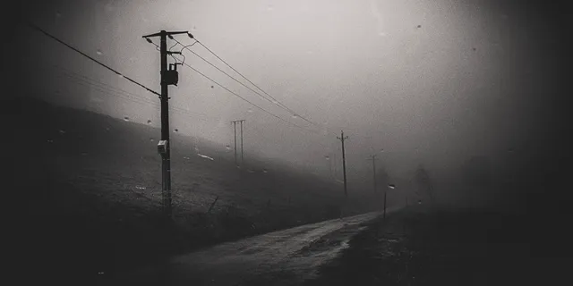 Les Paysages — photo 2