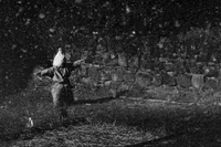 Déréliction — photo 7
