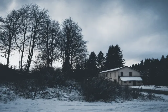 Les Maisons — photo 11