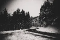 Au Bout de la Route — photo 17