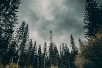 Collapsus — photo 7